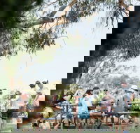 St Leonards Vineyard Caf - Mackay Tourism