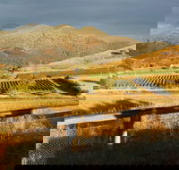 Optimiste Wines - Mackay Tourism