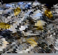 View 42o - Mackay Tourism