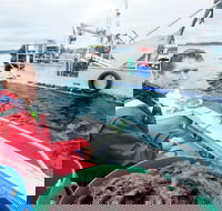Peninsula Fresh Seafood - Mackay Tourism