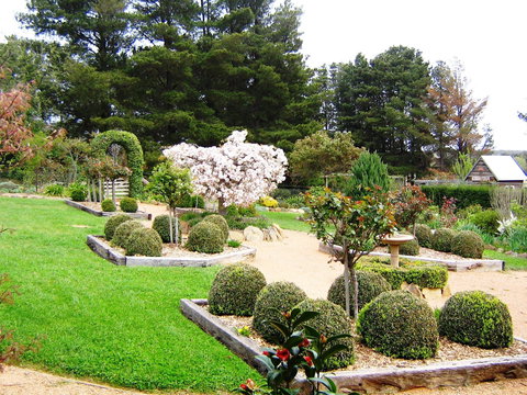 The Scented Rose Garden And Teahouse - Mackay Tourism 2