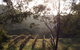 Mountainside Wines - thumb 1