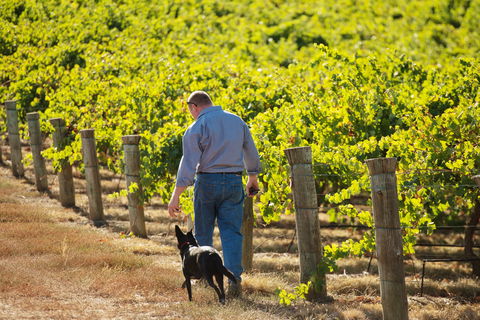 Eden Hall Wines - Mackay Tourism 1