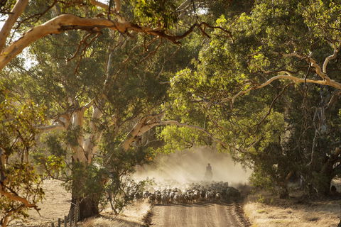 Eden Hall Wines - Mackay Tourism 2