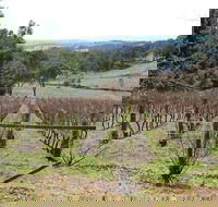Habitat Vineyard - Mackay Tourism