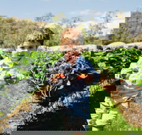 Hillwood Berries Farmgate  Pick Your Own - Mackay Tourism