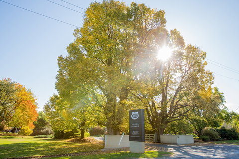 Brown Brothers Milawa Vineyard - Mackay Tourism 0