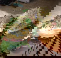 Cafe in the Mountains - Mackay Tourism