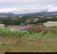 Villa d Esta Vineyard - Mackay Tourism