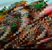 Medley Cafe  Restaurant - Mackay Tourism