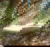 Lentara Grove - Mackay Tourism