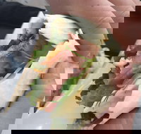 Onshore Cafe - Mackay Tourism