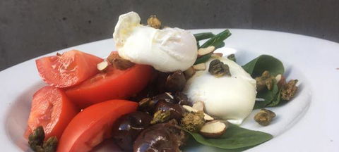 The Pressing Shed - Mackay Tourism 3