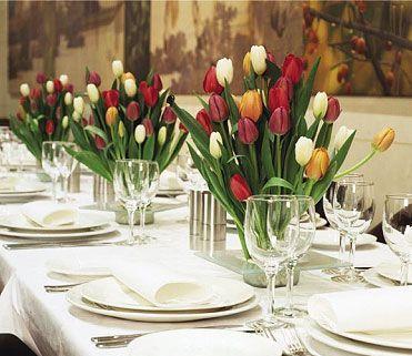 Bar Cupola - Mackay Tourism 16