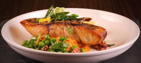 Bar Cupola - Mackay Tourism 1