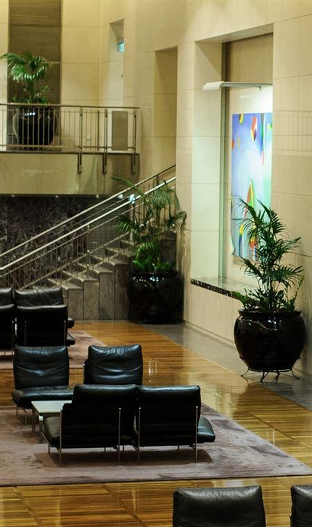 Bar Cupola - Mackay Tourism 4