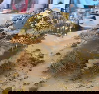 Carss Park Cafe  Grill - Mackay Tourism