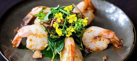 Itoshin Japanese Restaurant - Mackay Tourism 2