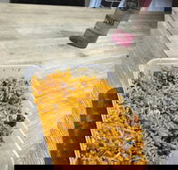 Passage to India - Mackay Tourism