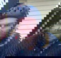 Silver Palace - Mackay Tourism