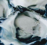 Wheelers Seafood Restaurant - Mackay Tourism