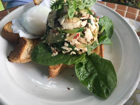 Birdwing Cafe And Curios - Mackay Tourism 0