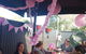Kabels Cafe - thumb 5