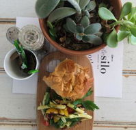 Cafe Silo - Mackay Tourism