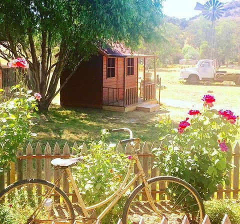 Rollonin Cafe - Mackay Tourism 7