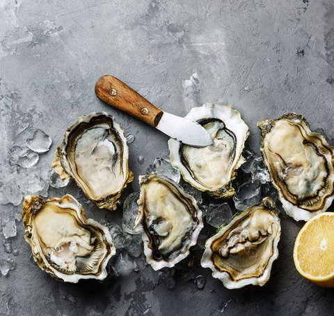 Stay Grounded - Mackay Tourism 8