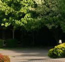 Hereford Steakhouse - Mackay Tourism