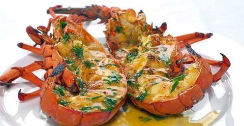 Rick Stein At Bannisters - Mackay Tourism 27