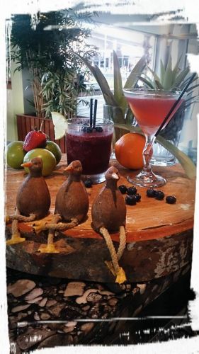 Limetree Bar & Restaurant - Mackay Tourism 2