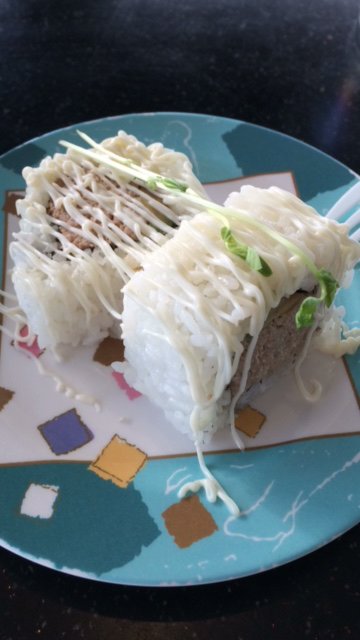 Sushi Raft - Mackay Tourism 3