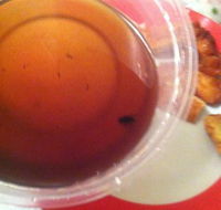 Labrador Chinese Restaurant - Mackay Tourism