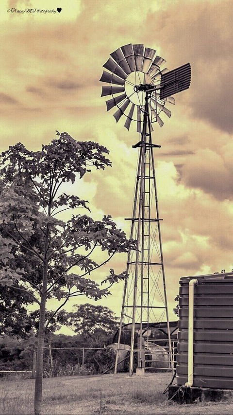 Flame Hill Vineyard & Restaurant - Mackay Tourism 4