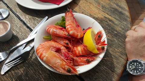 The Marlin Bar - Mackay Tourism 2