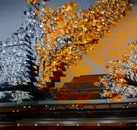 Tradies Helensburgh - Mackay Tourism