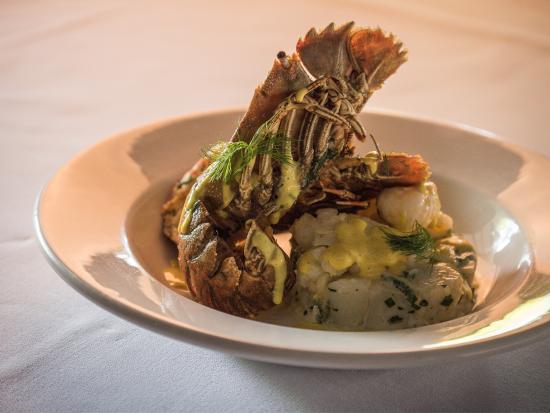 Spring Creek NSW Mackay Tourism