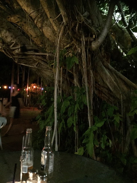 Big Fig Bistro - Mackay Tourism 6