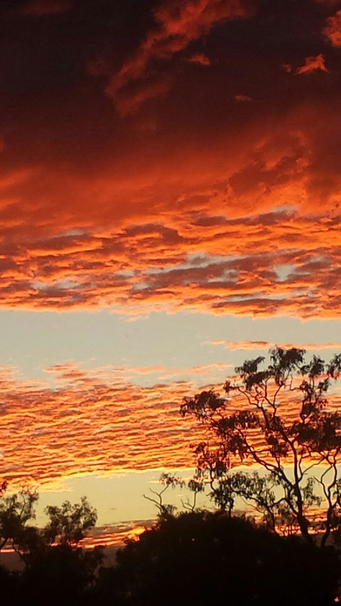 Territory Manor Mataranka - Mackay Tourism 2