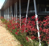BiteZ - Mackay Tourism