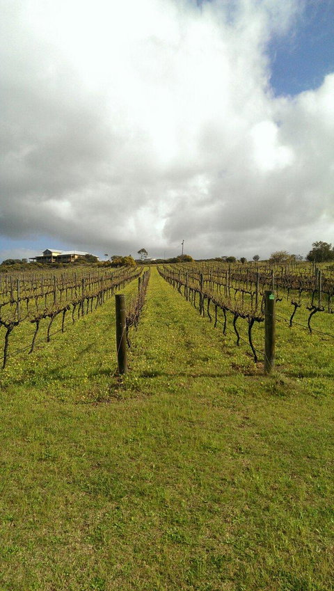 Burnt Barrel Outback Brewbq - Mackay Tourism 2