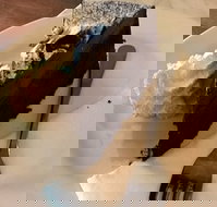 Dome - Mackay Tourism