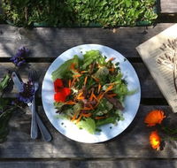 Fair Harvest Farm Cafe - Mackay Tourism