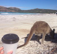 Lucky Bean - Mackay Tourism
