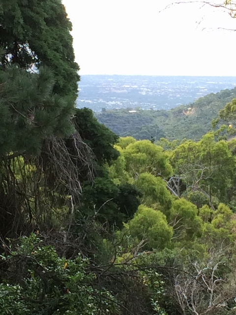 Scenic Hotel - Mackay Tourism 4