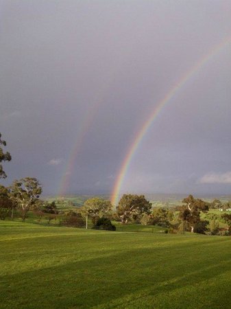 One Tree Hill SA Mackay Tourism