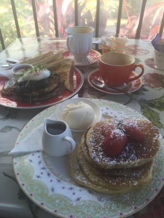 The Garden Tea House - Mackay Tourism 0