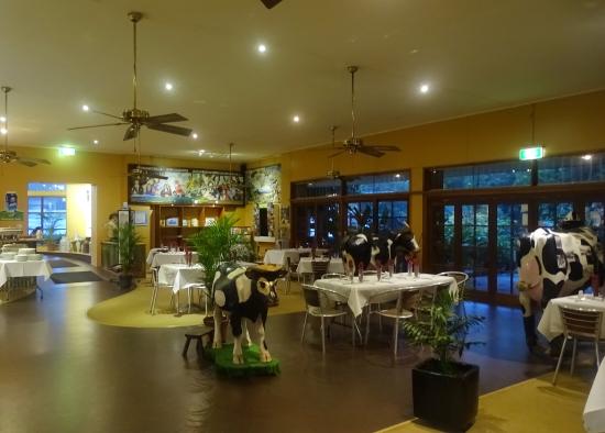 North Johnstone QLD Mackay Tourism